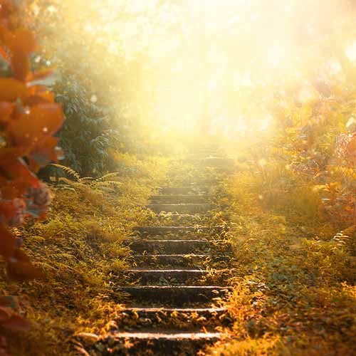 Merlinada - Trauerreden Marion Mietke - Treppe ins Licht im Wald